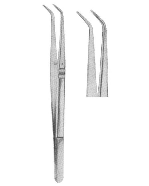 <span>College Serrated</span>