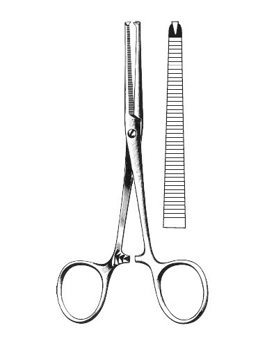 <span>Kocher</span>