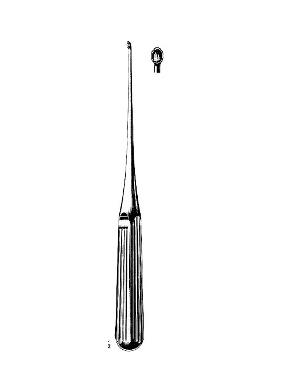 <span>Lempert</span>