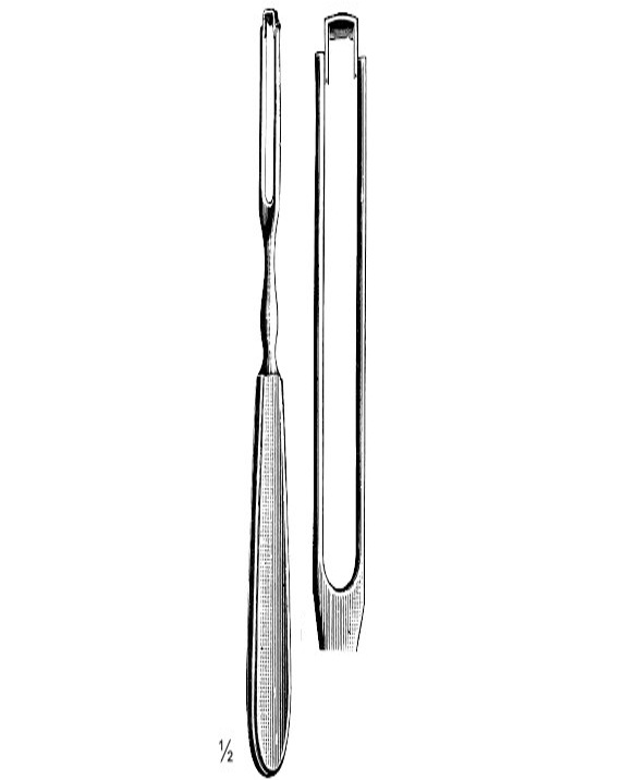 <span>Ballenger</span>