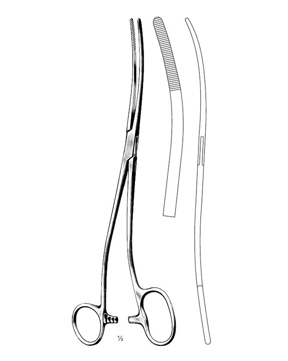 <span>Bozemann-Douglas</span>