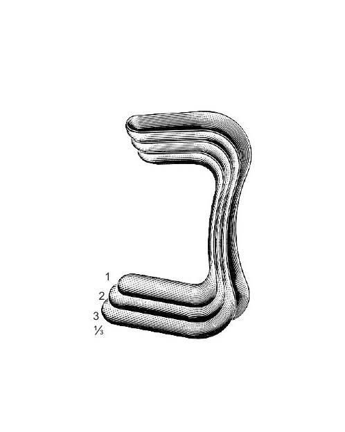 <span>Guttmann</span>