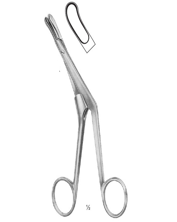 <span>Craig</span>