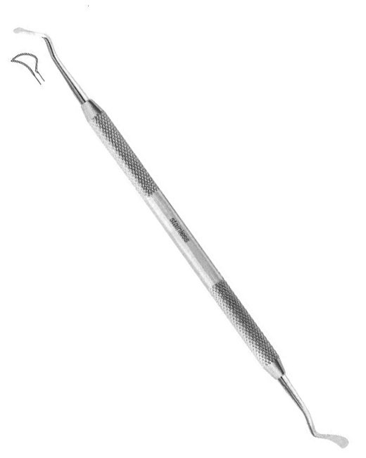 <span>Buck</span>