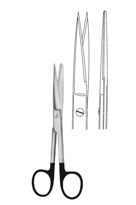 <span>Standard</span>