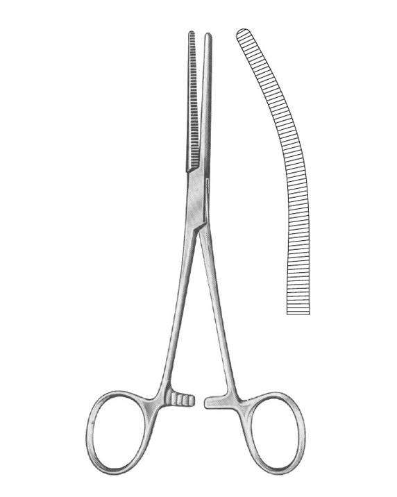 <span>Rochester-PÃ©an</span>