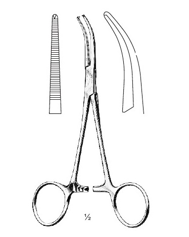 <span>Dandy</span>