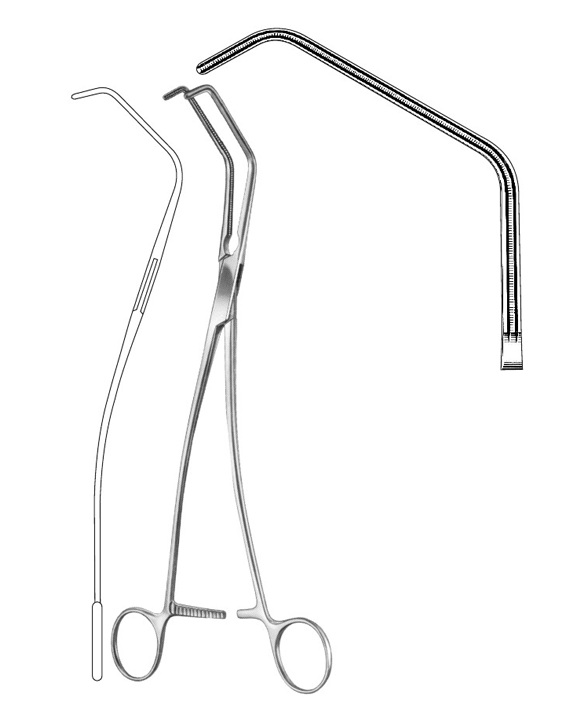 <span>Satinsky</span>