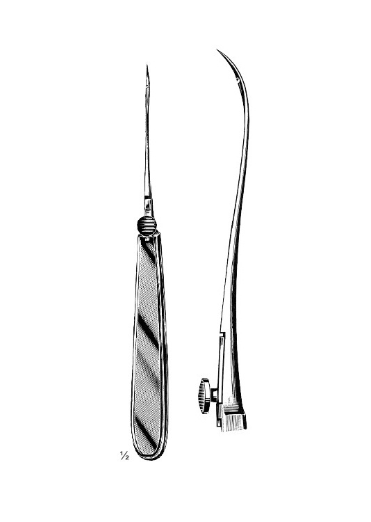 <span>Reverdin</span>