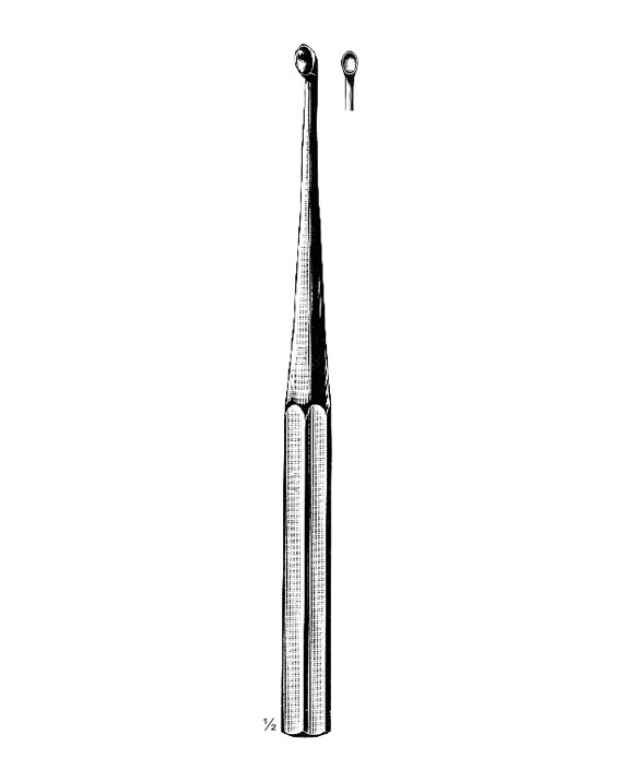 <span>Bruns</span>