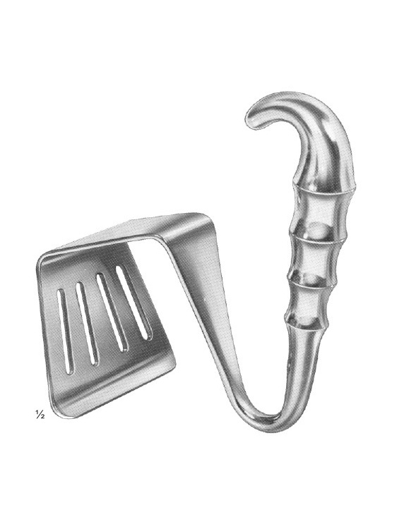 <span>Davidson</span>