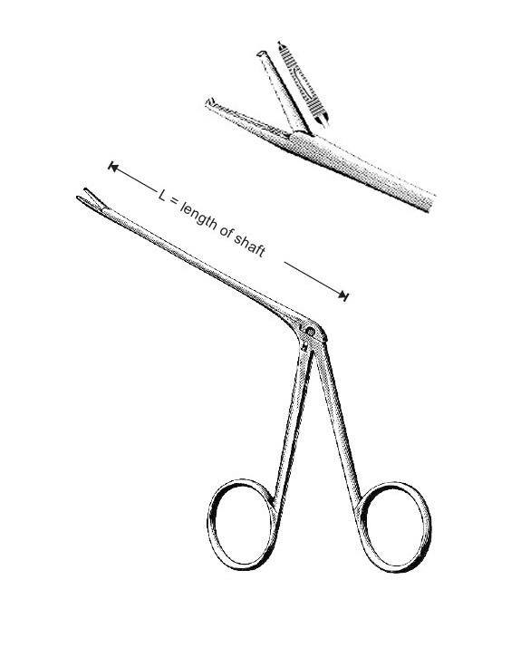 <span>Hartmann-Noyes</span>