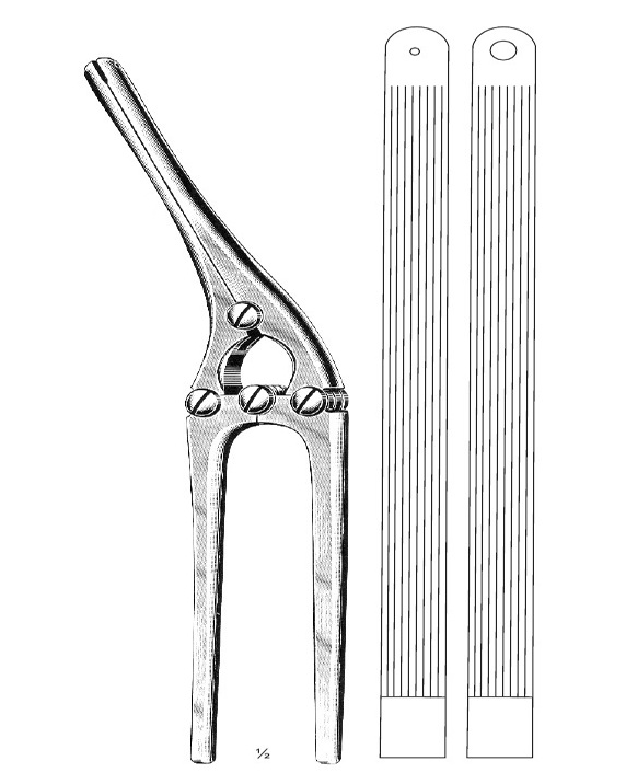 <span>Payr</span>