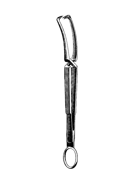 <span>Doyen</span>