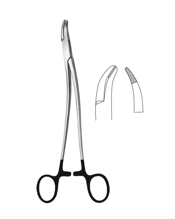 <span>Stratte</span>