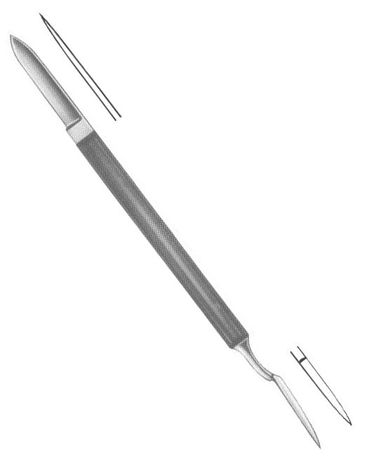 <span>Ermert</span>