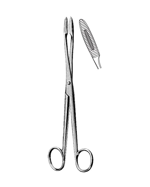 <span>Gross-Maier</span>