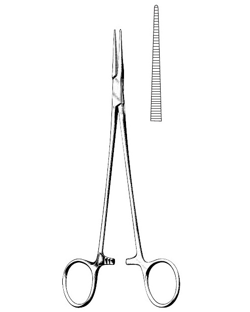 <span>Halsted-Mosquito</span>