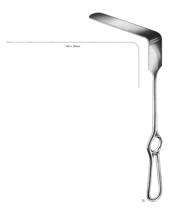 <span>Brunner</span>