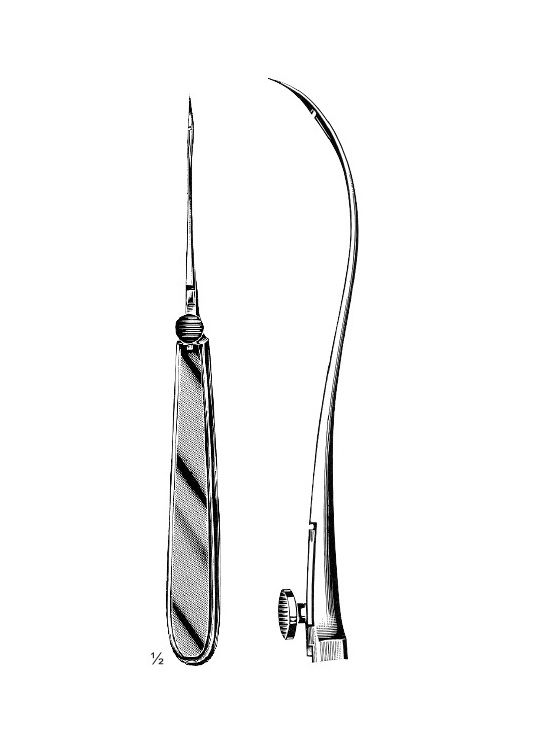 <span>Reverdin</span>