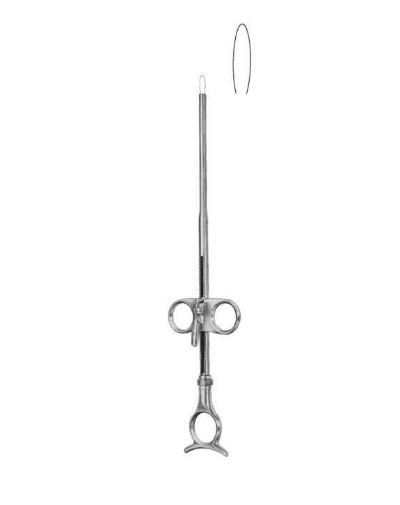 <span>Eves</span>