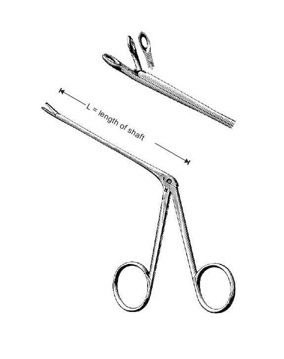 <span>Struempel</span>