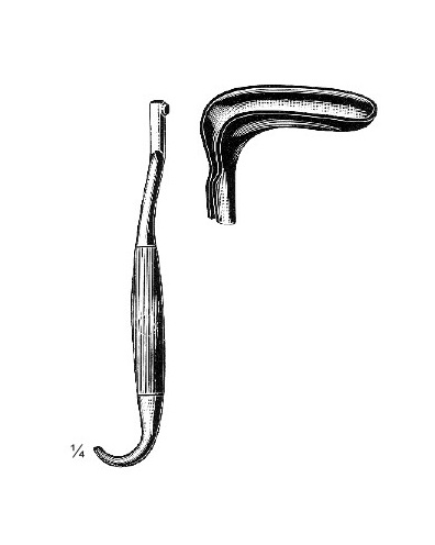 <span>Bozemann</span>