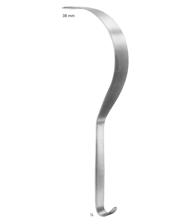 <span>Deaver</span>