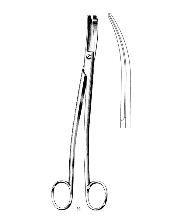 <span>Siebold</span>