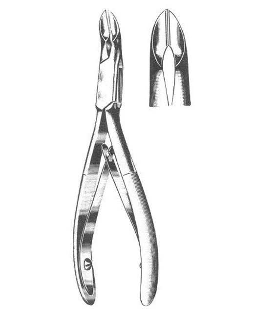 <span>Niro</span>