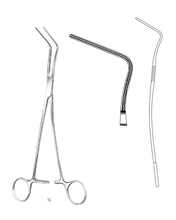 <span>Harken</span>