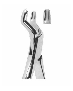<span>Upper Molars Right</span>