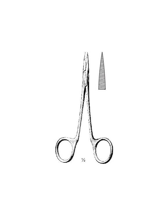 <span>Physician</span>