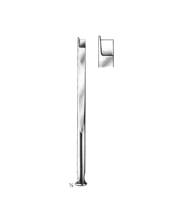 <span>Fomon</span>