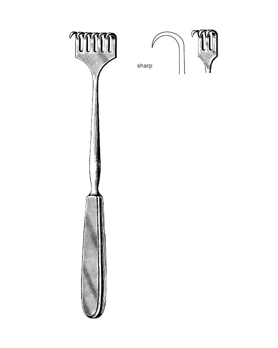 <span>Volkmann</span>
