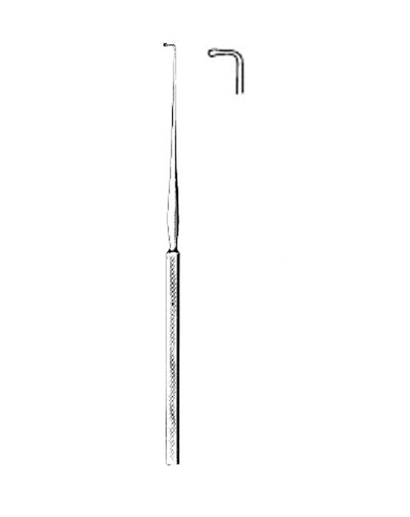 <span>Lucae</span>