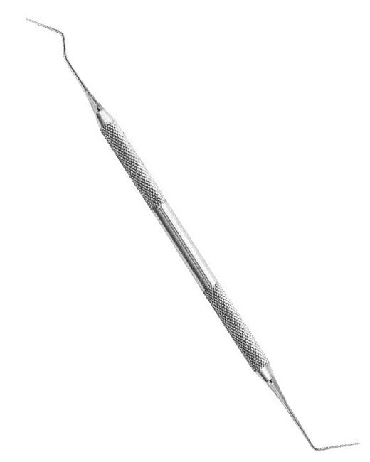 <span>Root Canal Explorers</span>