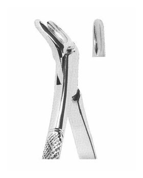 <span>Lower Teeth </span>