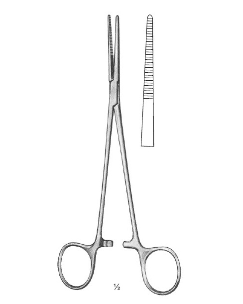 <span>Birkett</span>