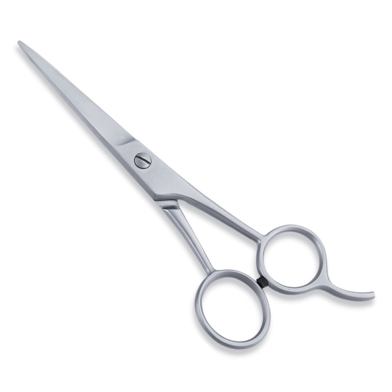 <span>Economy Hair Scissors</span>