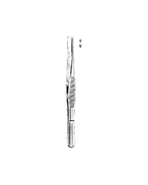 Tissue Forceps  1:2